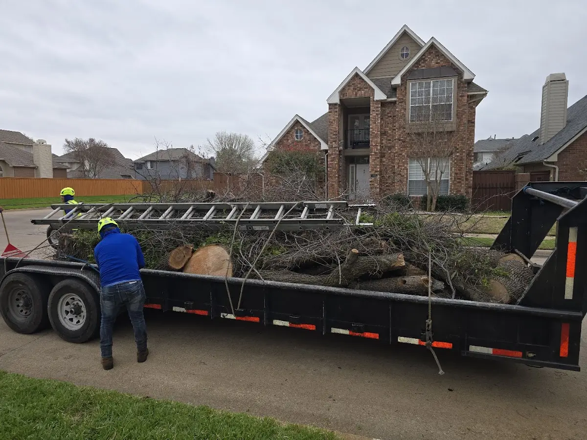 Expert Tree Pest Control with proper safety equipment in Drift